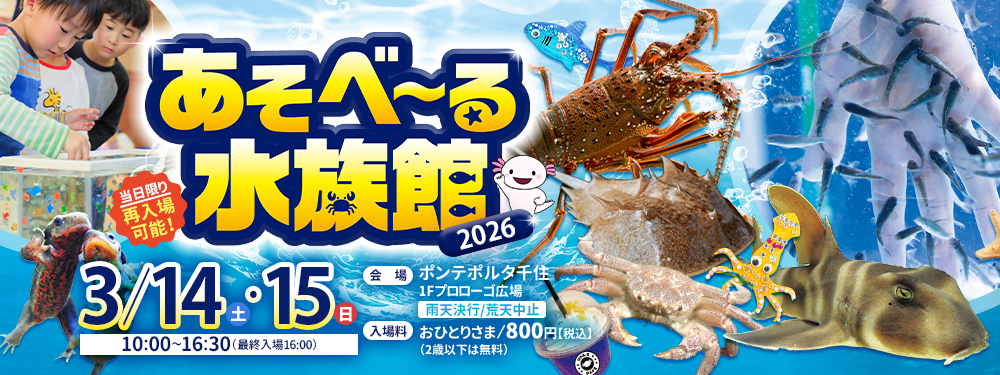 みずみずランド